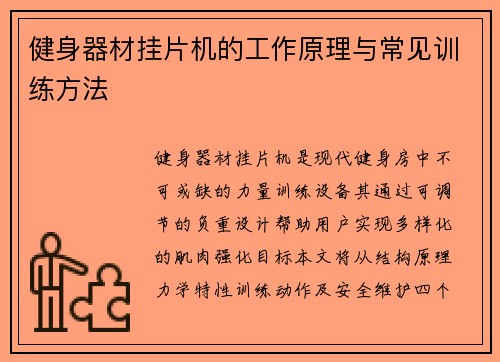 健身器材挂片机的工作原理与常见训练方法