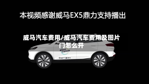 威马汽车费用/威马汽车费用及图片门怎么开-第1张图片