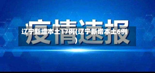 辽宁新增本土17例(辽宁新增本土6例)-第1张图片