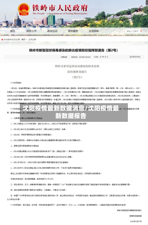 沈阳疫情最新数据消息/沈阳疫情最新数据报告-第3张图片