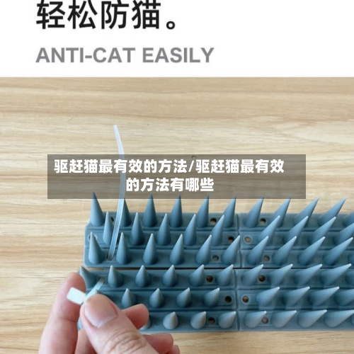 驱赶猫最有效的方法/驱赶猫最有效的方法有哪些-第3张图片