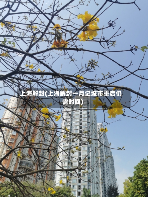 上海解封(上海解封一月记城市重启仍需时间)-第1张图片