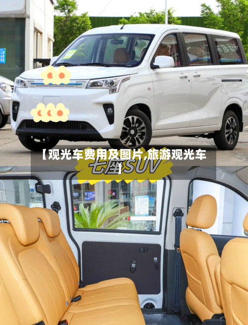 【观光车费用及图片,旅游观光车】-第3张图片