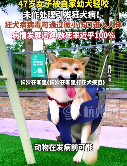 长沙在哪里(长沙在哪里打狂犬疫苗)-第2张图片