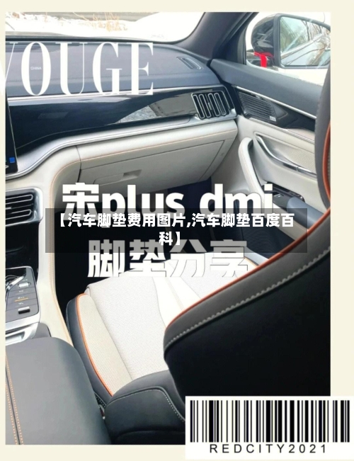【汽车脚垫费用图片,汽车脚垫百度百科】-第2张图片