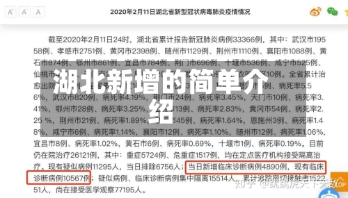 湖北新增的简单介绍-第1张图片