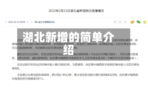 湖北新增的简单介绍-第3张图片