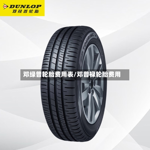 邓绿普轮胎费用表/邓普禄轮胎费用-第2张图片