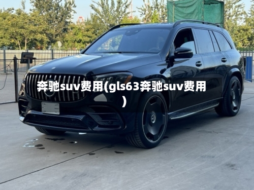 奔驰suv费用(gls63奔驰suv费用)-第1张图片