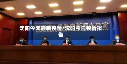 沈阳今天最新疫情/沈阳今日疫情报告-第2张图片