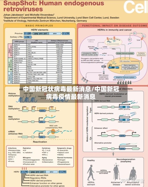 中国新冠状病毒最新消息/中国新冠病毒疫情最新消息-第1张图片