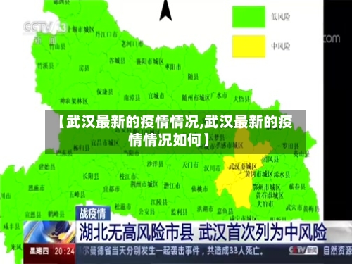 【武汉最新的疫情情况,武汉最新的疫情情况如何】-第2张图片