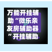 万能开挂辅助“微乐亲友房辅助器”开挂辅助脚本+详细开挂安装教程-第2张图片