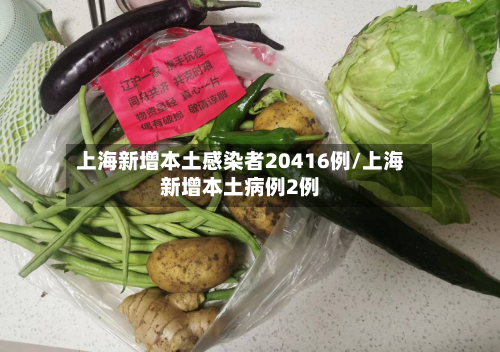 上海新增本土感染者20416例/上海新增本土病例2例-第2张图片