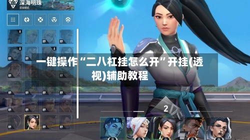 一键操作“二八杠挂怎么开”开挂(透视)辅助教程-第2张图片