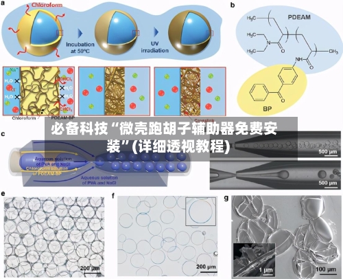 必备科技“微壳跑胡子辅助器免费安装	”(详细透视教程)-第3张图片