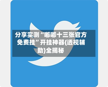 分享实测“嘟嘟十三张官方免费挂	”开挂神器{透视辅助}全揭秘-第2张图片