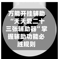 万能开挂辅助“天天爱二十三张辅助器”掌握辅助功能必胜规则-第1张图片