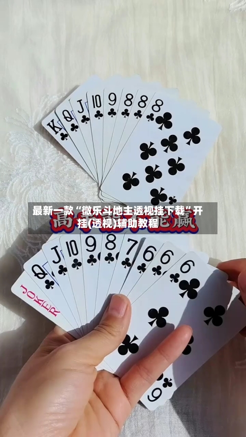 最新一款“微乐斗地主透视挂下载	”开挂(透视)辅助教程-第2张图片