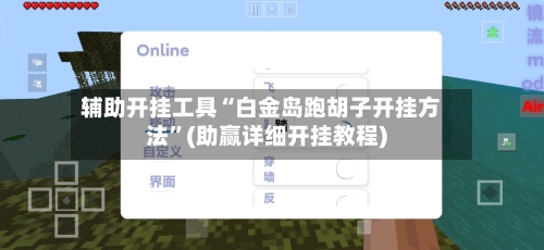 辅助开挂工具“白金岛跑胡子开挂方法	”(助赢详细开挂教程)-第2张图片