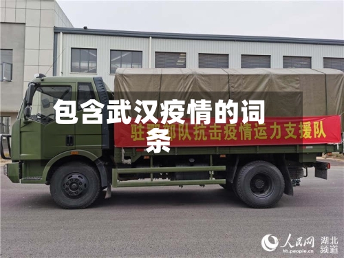 包含武汉疫情的词条-第2张图片