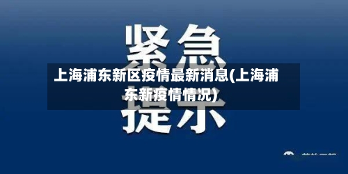 上海浦东新区疫情最新消息(上海浦东新疫情情况)-第2张图片