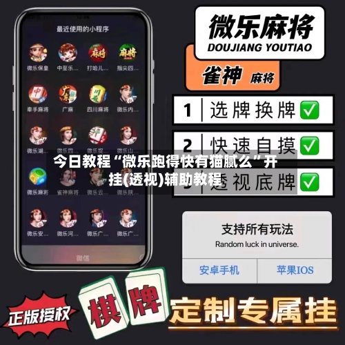 今日教程“微乐跑得快有猫腻么”开挂(透视)辅助教程-第3张图片