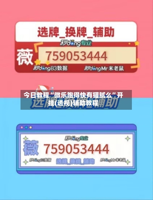 今日教程“微乐跑得快有猫腻么	”开挂(透视)辅助教程-第2张图片
