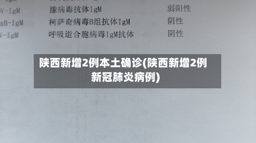 陕西新增2例本土确诊(陕西新增2例新冠肺炎病例)-第3张图片