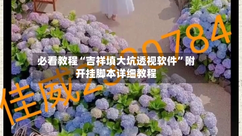 必看教程“吉祥填大坑透视软件”附开挂脚本详细教程-第2张图片