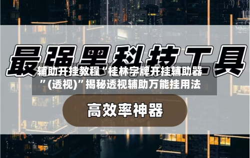辅助开挂教程“桂林字牌开挂辅助器	”(透视)”揭秘透视辅助万能挂用法-第2张图片