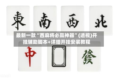 最新一款“西麻将必赢神器”(透视)开挂辅助脚本+详细开挂安装教程-第2张图片