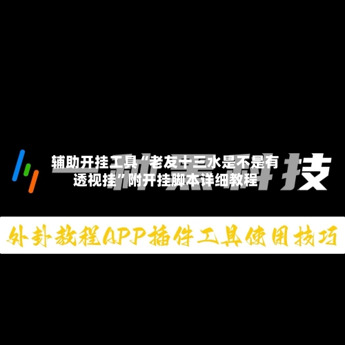 辅助开挂工具“老友十三水是不是有透视挂”附开挂脚本详细教程-第2张图片