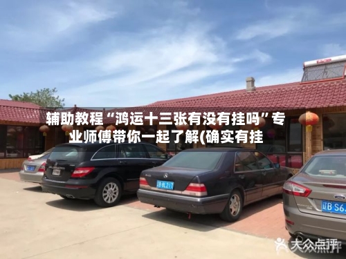 辅助教程“鸿运十三张有没有挂吗”专业师傅带你一起了解(确实有挂-第2张图片