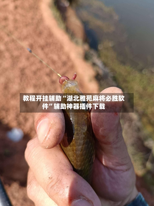 教程开挂辅助“湖北雅苑麻将必胜软件”辅助神器插件下载-第2张图片