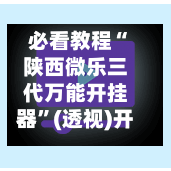 必看教程“陕西微乐三代万能开挂器	”(透视)开挂辅助脚本+详细开挂安装教程-第1张图片