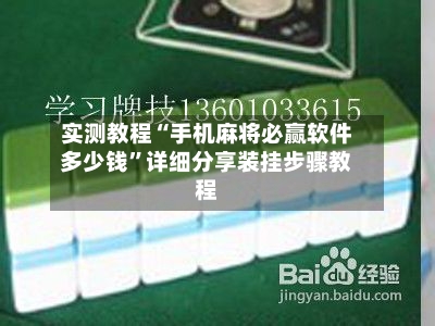 实测教程“手机麻将必赢软件多少钱”详细分享装挂步骤教程-第3张图片