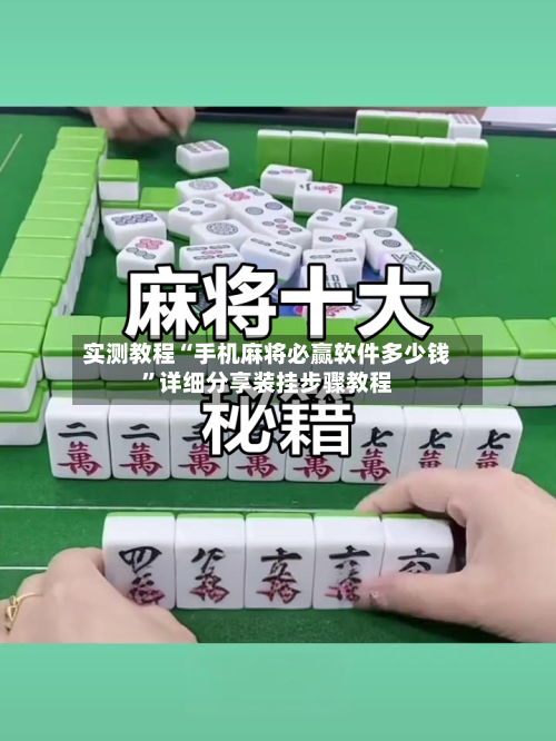 实测教程“手机麻将必赢软件多少钱	”详细分享装挂步骤教程-第2张图片