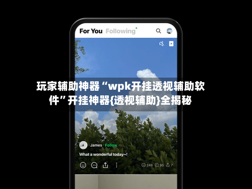 玩家辅助神器“wpk开挂透视辅助软件”开挂神器{透视辅助}全揭秘-第2张图片