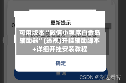 可用版本“微信小程序白金岛辅助器”(透视)开挂辅助脚本+详细开挂安装教程-第1张图片