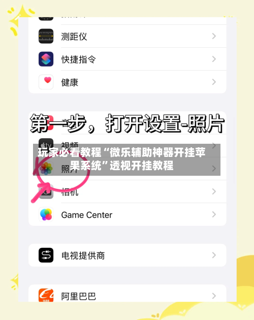 玩家必看教程“微乐辅助神器开挂苹果系统”透视开挂教程-第2张图片