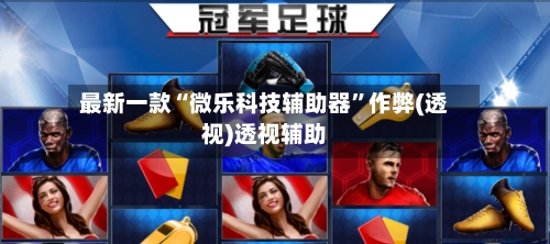 最新一款“微乐科技辅助器	”作弊(透视)透视辅助-第2张图片