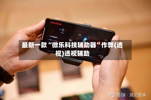 最新一款“微乐科技辅助器”作弊(透视)透视辅助-第3张图片