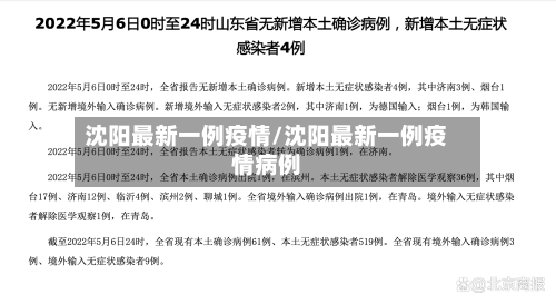沈阳最新一例疫情/沈阳最新一例疫情病例-第2张图片