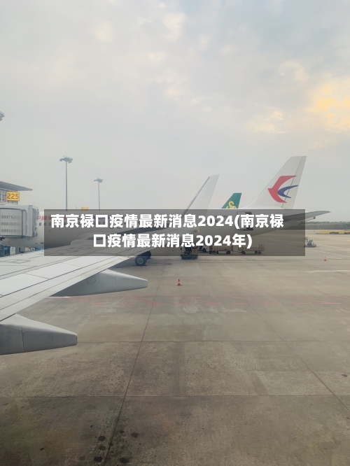 南京禄口疫情最新消息2024(南京禄口疫情最新消息2024年)-第3张图片