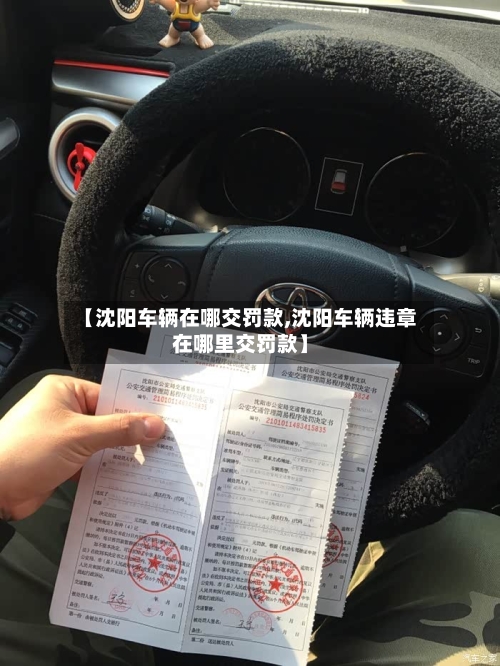 【沈阳车辆在哪交罚款,沈阳车辆违章在哪里交罚款】-第2张图片
