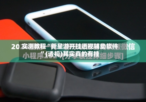 实测教程“新星游开挂透视辅助软件”(透视)其实真的有挂-第3张图片