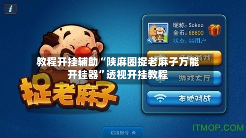 教程开挂辅助“陕麻圈捉老麻子万能开挂器”透视开挂教程-第3张图片