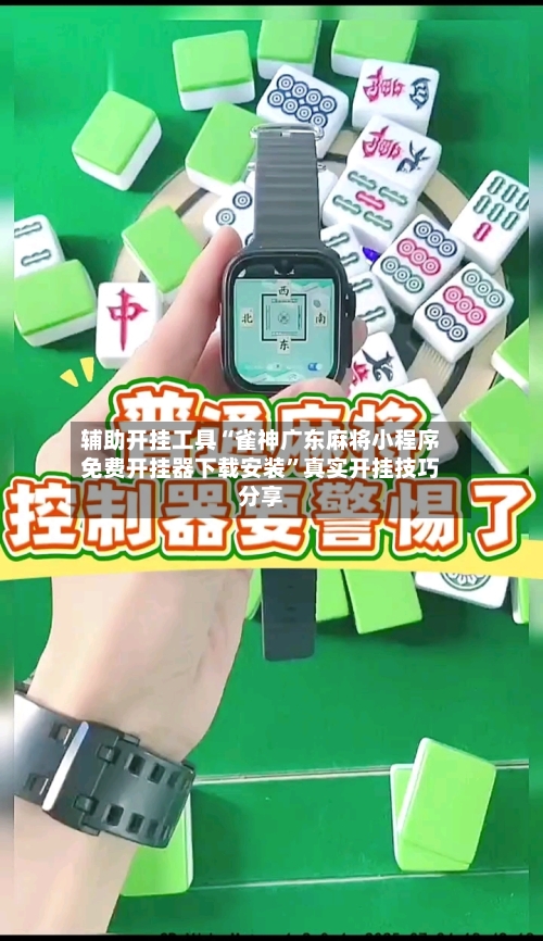 辅助开挂工具“雀神广东麻将小程序免费开挂器下载安装”真实开挂技巧分享-第3张图片