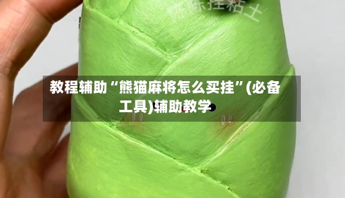 教程辅助“熊猫麻将怎么买挂”(必备工具)辅助教学-第2张图片
